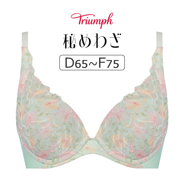 【30％OFF】トリンプ 秘めわざ TR628シ