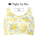 【25%OFF】ワコール ナイトアップブラ ノンワイヤーブラ 3L BRA164