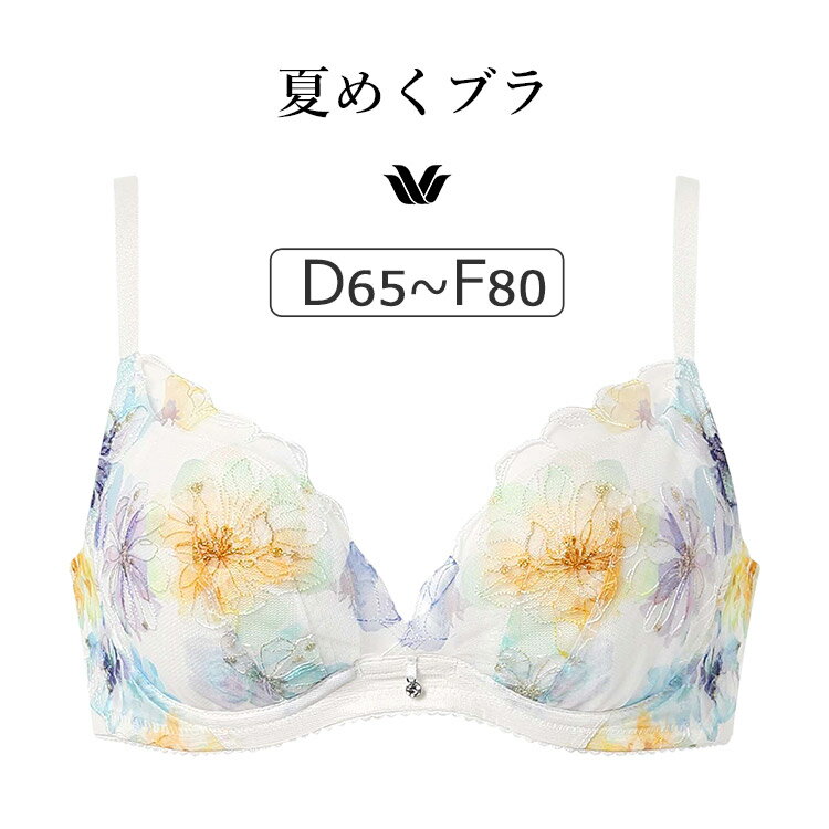20OFFۥ拾 Ƥ᤯֥ BXB475꡼ ֥饸㡼ñ DEFå 65/70/75/80/85cm BXB4...