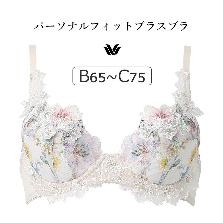 20OFFۥ拾 ץߥ 17G BXD417꡼ ѡʥեåȥץ饹֥ ֥饸㡼ñ BCå 65/...