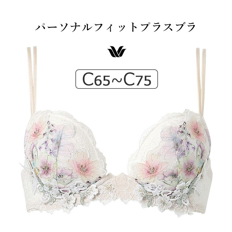 20OFFۥ拾 ץߥ 17G BXD417꡼ եȥåץ饹֥ ֥饸㡼ñ Cå 65/70...