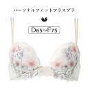 【20%OFF】ワコール プレミアム 17G BXD417シリーズ フロントエックスプラスブラ ブラジャー単品 DEFカップ アンダー65/70/75cm BXD717