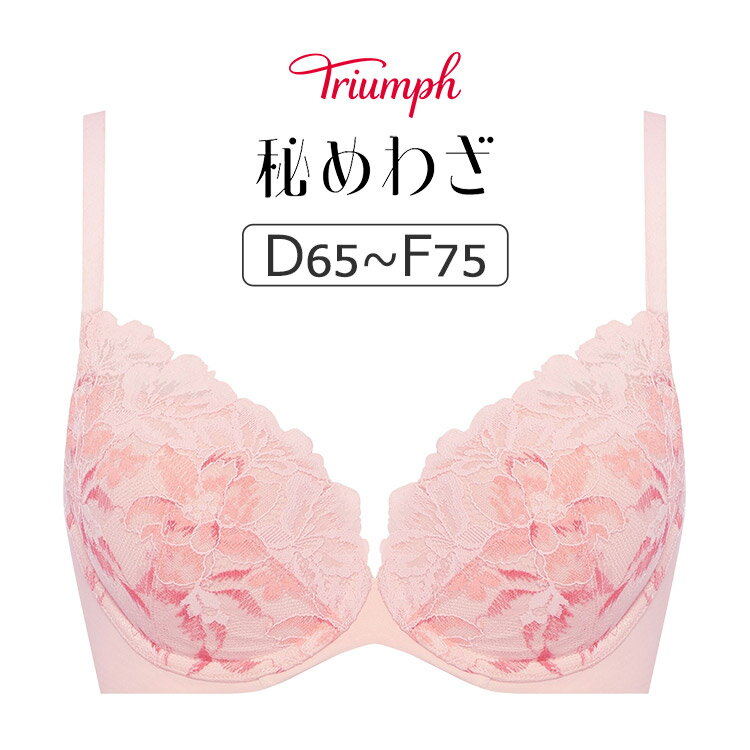 トリンプ 秘めわざ TR648シリーズ ブラジャー単品 DEFカップ アンダー65/70/75/80c...