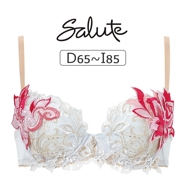 Rakuten - 【20％OFF】ワコール サルート 38グループ 38G ブラジャー単品 P-upタイプ DEFカップ アンダー 65/70/75/80/85cm BTJ438
