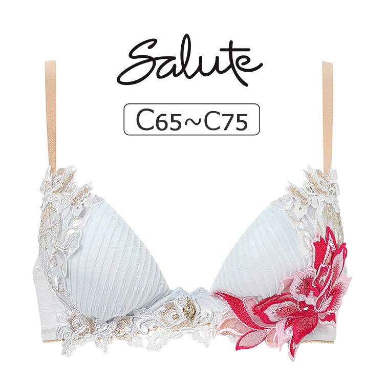 Rakuten - 【20％OFF】ワコール サルート 38グループ 38G ブラジャー単品 フロントエックスプラスブラ Cカップ アンダー 65/70/75cm BTJ738
