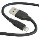 GOPPA GP-ALS200CM/B@USB AtoL 2.0M BLK