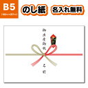 【のし紙】【名入れ無料!】 のし紙 名入れ 40枚〜200枚 お中元 お歳暮 出産 B5サイズ 蝶結び 名入れ 印刷 選べる表書き