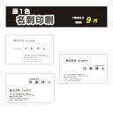 【印刷会社が作る名刺】【白黒】名刺 名刺作成 デザイン シンプル 100枚 即日納品 データ入稿印刷も可能 シンプル ビジネス 営業 店舗