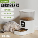 自動給餌器 猫 犬 自動餌やり機 自動給餌機 2WAY給電 定時定量 給餌機 3L大容量 ペット給餌機 タイマー式 留守番 キャットフード ドッグフード ステンレス製 食器 タイマー1日4回 留守も安心自動給餌 透明タイプ 清潔便利 コンセント/電池 一年保証(4)