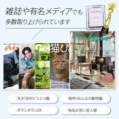 【予約販売11月上~中旬入荷予定】 自動猫トイレ CATLINK SCOOPER PRO-X トイレ 消臭 静音 猫 大型ダストボックス 自動 猫自動トイレ ねこ ネコ 全自動 ペット 大型 安全 猫砂 ネコトイレ 猫用自動トイレ - Image 2