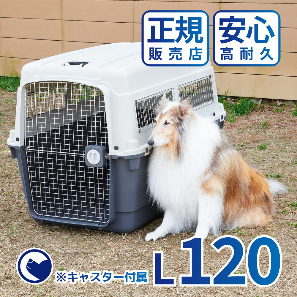 【予約販売6月下旬入荷予定】【クーポン配布中～6/30】 [ペットケンネル ファーストクラス L120] 犬 イヌ いぬ ペットクレート おしゃれ 小型犬 中型犬 大型犬 キャリー 車 キャリー ハードキャリー ケース ハウス バッグ 飛行機 IATA 丈夫 通院 おでかけ 旅行 ドライブ 防災のサムネイル