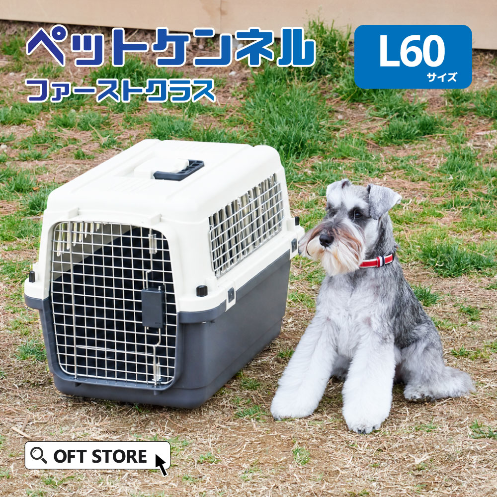楽天市場】iata基準キャリーバッグの通販