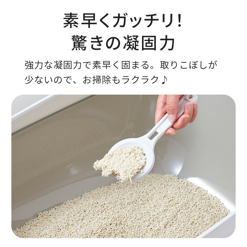 【数量限定アウトレットセール】 おからの猫砂 PULFINO パルフィノ 2.4kg(ソイプレーン/ソイグリーン/ソイピーチ) 猫砂 おから 砂 トイレ 猫 ネコ 消臭 とうふ 固まる 植物由来 トフカス フレグランス おすすめ 安全 OFT トイレ セット 散らかり 固い 臭い まとめ買い - Image 2