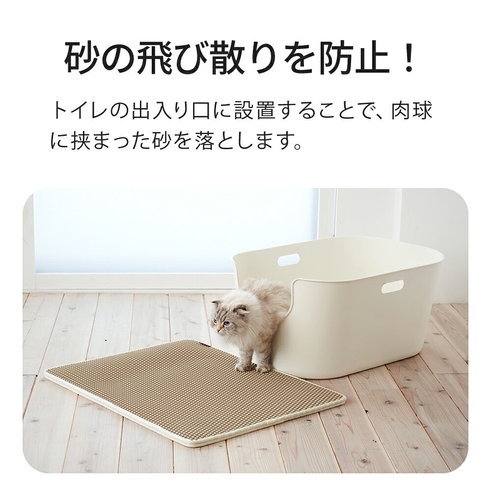 サンプル画像2