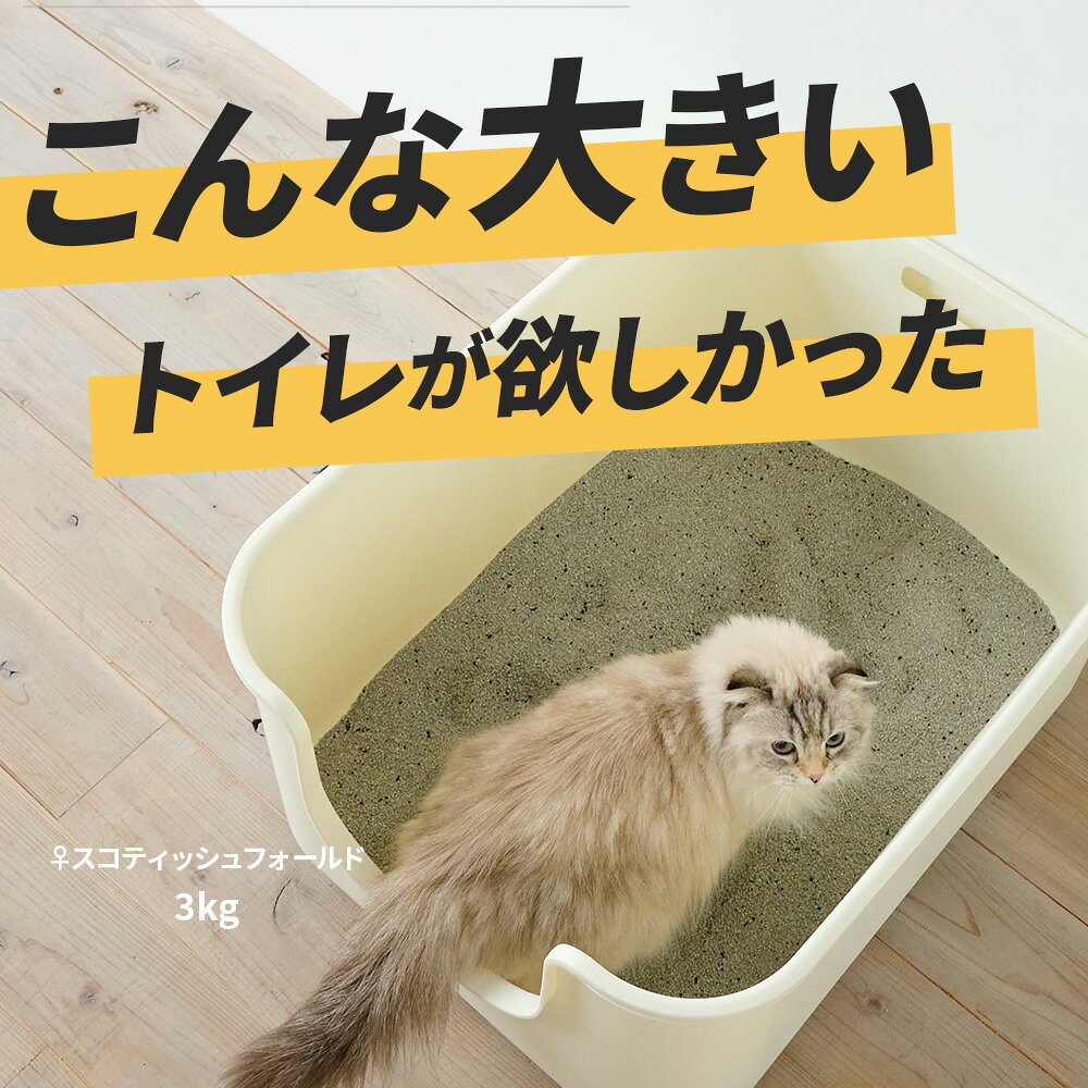 【OFT】大型猫トイレ TALL WALL BOX トイレ 猫 ネコ ねこ 大型抗菌猫トイレ 大型 ...