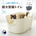 デオトイレ 猫用 本体セット フード付き ダークグレー(1セット)【デオトイレ】