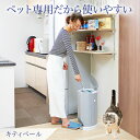 猫のトイレの砂の量は 砂で遊ぶネコの対策 おすすめの捨て方は いけいけ イロハ道