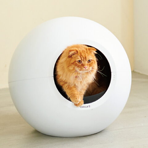 猫 自動トイレ着てるだけで注目 猫 自動トイレ着てるだけで注目