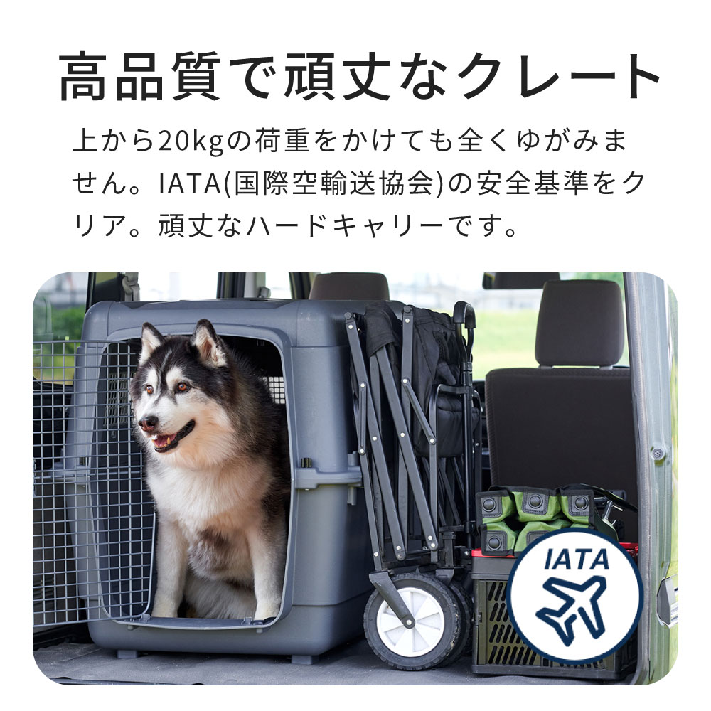 �����̥�������!!�� �ڥåȥ���ͥ� �ե������ȥ��饹 �֥�å����ǥ������ L100 ���㥹�����դ� ����꡼ �ڥå� ���졼�� �� �ϡ��� ������ ����ƥ� �緿�� �淿�� �ɺ� �̱� ���Ե� IATA ����� �ϥ��� ����꡼�Хå� ������ �Хå� ������ ������