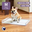 マーキングの的に スカイロケット Mサイズ 犬 トイレ 囲い トイレシート オス トイレマット チワワ 小型犬 マーキング ペット トイレトレーニング ケージ 飛び散り 防止 はみ出し イタズラ 足上げ 壁 抗菌 洗える 繰り返し 使える