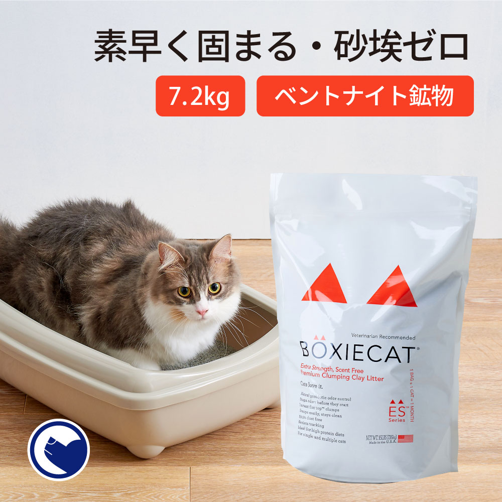 【OFT】 [猫砂 BOXIECAT ボクシーキャット オレンジ 7.2kg] ネコ砂 ねこ砂 鉱物 ベントナイト 自動 自動トイレ 固まる 香り 猫トイレ ネコトイレ 脱臭 おすすめ まとめ買い