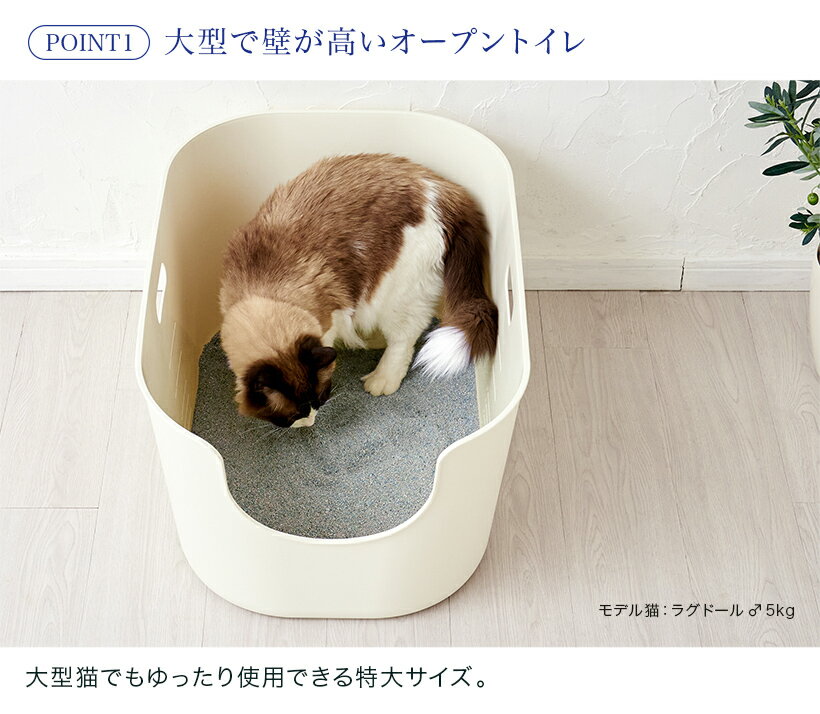 【9/1-9/11 OFT STORE BARGAIN】TALL WALL BOX - XL / 猫 猫用 ネコ ねこ用 トイレ 猫トイレ ねこトイレ キャットトイレ トイレ本体 大容量 大きい 大きめ 大型 大型猫 大型ネコ スプレー対策 飛び散らない 飛び散り 飛散ガード 丸洗い可能 洗いやすい 多頭