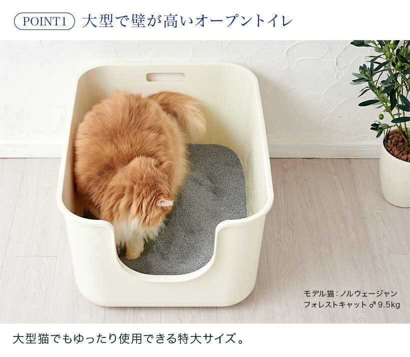 【9/1-9/11 OFT STORE BARGAIN】TALL WALL BOX - XL Plus / 猫 猫用 ネコ ねこ用 トイレ 猫トイレ ねこトイレ キャットトイレ トイレ本体 大容量 大きい 大きめ 大型 大型猫 大型ネコ スプレー対策 飛び散らない 飛び散り 飛散ガード 洗いやすい