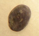 宝石名アレキサンドライトサイズ2.0x2.4x1.3（高さ）mm 重量0.04　カラット産地ブラジル・ミナス州キロンボ数量1個石状態キズ有り20年の間にマーク付きのビニール袋はセピア色に染まり、 産地を記したマジックインクも途絶え途絶えになってしまいました。 ミナス州4産地、左の袋から・ノーボクルゼイロ・キロンボ・ノーボエラ・マラカシータと粗雑に書いた僕の字です。 “キロンボ”の特長は原石自体がすでに暗青緑紫色です。 色彩が濃い故に当然ながら変色率も高いのですが、全てではありません。 淡い色彩が産出するのも確かです。 時の流れとは無常なもので、採れていた間はゴールドラッシュの様でしたが、 今では誰も踏み込まない忘れつつ地名になってしまいました。 画像は陳列ボックスに入れての撮影です。 出品画像に限りがあり、ペンライトを当てた画像のみでご判断をお願いしています。 アレキ・キロンボ産のベース色は、ほぼ同じですので他石の画像をご参考にして下さいませ。