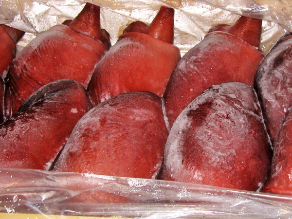 煮たこ頭 5kg(3〜6個) ボイル冷凍送料無料 業務用 北海...