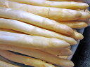 【送料無料】北海道産ホワイトアスパラ(秀品)1.5kg(L~2L)【5月下旬から発送開始】【冷蔵便】