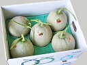 【送料無料】北海道夕張産夕張メロン(共撰・優品)1.6Kg×5玉出荷時期:6〜8月【お中元 ギフト】