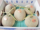 【送料無料】北海道産富良野メロン(秀品)1.6kg×5玉7月中旬発送開始!【お中元 ギフト】