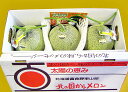 【送料無料】北海道産・特大富良野メロン(秀品)2.1〜2.3kg×3玉7月中旬発送開始!【お中元 ギフト】