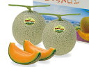 【送料無料】北海道産富良野メロン(秀品)1.6kg×2玉7月中旬発送開始!【お中元 ギフト】