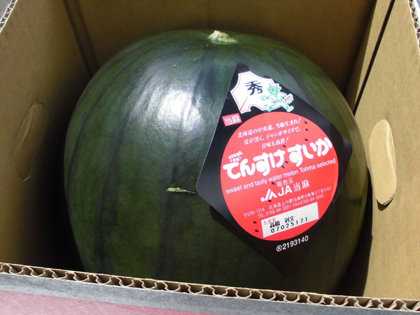 【送料無料 北海道当麻産】でんすけスイカ秀品4L(9〜10Kg)×1玉7月上旬発送開始！【沖縄県 一部離島は別途追加送料500円を加算させていただきます。】