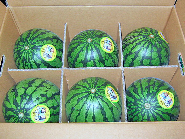 【送料無料 北海道北竜産】ひまわりスイカ秀品(1玉1.3Kg)×6玉7月上旬発送開始!【沖縄県、一部離島は別途追加送料500円を加算させていただきます。】