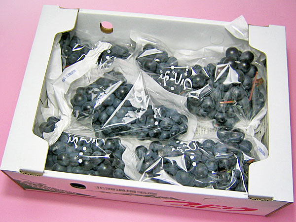 黒ぶどう スチューベン 4kg(8〜10房)送料...の商品画像