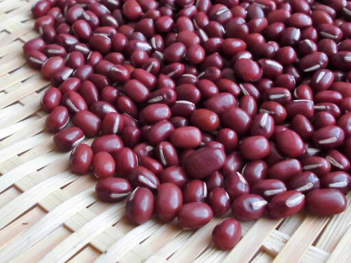北海道の小豆 500g 北海道の小豆 500g