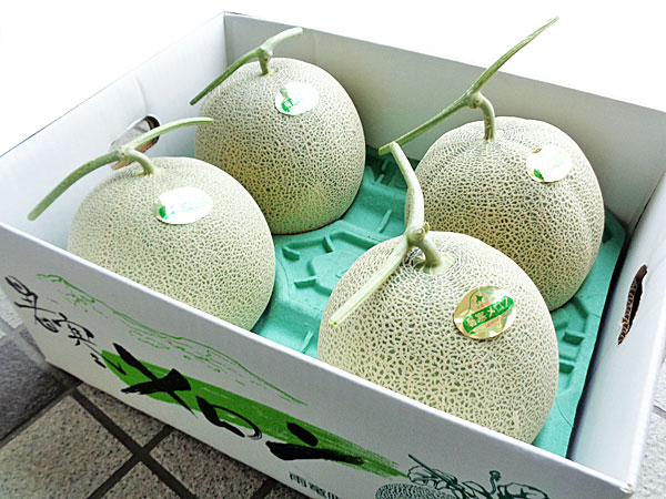暑寒メロン(秀品)2Kg×4玉送料無料 北海道産7月中旬発送開始!