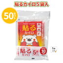 貼るカイロ5袋入 50セット まとめ買い 5袋入り×50 使い捨て 防寒 節電 省エネ 冷え性 保温 冬 おでかけ アウトドア 御礼品 プレゼント ノベルティ 記念品 業務用 送料無料