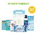オールクリーン6点セット 30組 まとめ買い 持ち手付き化粧箱入り 日用品 キッチン用品 洗濯 洗剤 消耗品 除菌 ギフト 粗品 手土産 特典 御礼 ご挨拶 プ...