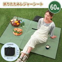 折りたたみレジャーシート 60枚 まとめ買い 無地 カーキ シンプル 携帯 持ち歩き 便利 アウトドア 運動会 スポーツ観戦 イベント 特典 御礼 ご挨拶 ばら...