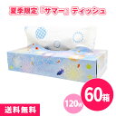 夏季限定「サマー」ティッシュ120W 60個 まとめ買い ヨーヨー柄 金魚 夏 祭り 屋台 サマー 華やか 上品 可愛い 箱ティッシュ 販促 御礼 プレゼント ...