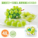 国産ゼリー10個入 長野県産シャインマスカット 48個 まとめ買い ひとくちゼリー 冷凍OK 夏 フルーツゼリー デザート おやつ 粗品 ノベルティ 景品 記念品 特典 御礼 賞品 プレゼント 販促 販売 お土産 配布 ばらまき 業務用 ケース買い