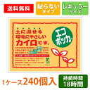 貼らないエコポッカレギュラー カイロ 持続 冬 使い捨て 貼らない レギュラーサイズ 長時間 ノベルティ 記念品 環境にやさしい