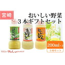 おいしい野菜3本ギフトボックス マスコ ドレッシング 万能調味料 宮崎 ご当地グルメ お取り寄せ ギフト お中元 お歳暮 プレゼント