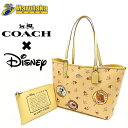 R[` fBYj[ R{ g[gobO N[ ~j[}EX ԕ t[ COACH Disney F29359 MINNIE ROCKS i ۍ   i a1-1166 yÁzyz