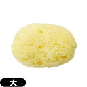 ◆【ネコポス送料無料】【天然スポンジ】ユタカ 天然海綿スポンジ(フェイススポンジ) 大(約5~7cm)/(NATURAL SEASPONGE ナチュラル・シース...