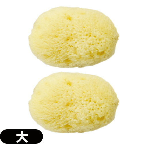 ◆【最強翌日配送】【ネコポス送料無料】【天然スポンジ】ユタカ 天然海綿スポンジ(フェイススポンジ) 大(約5~7cm)x2個セット/(NATURAL SEASP...