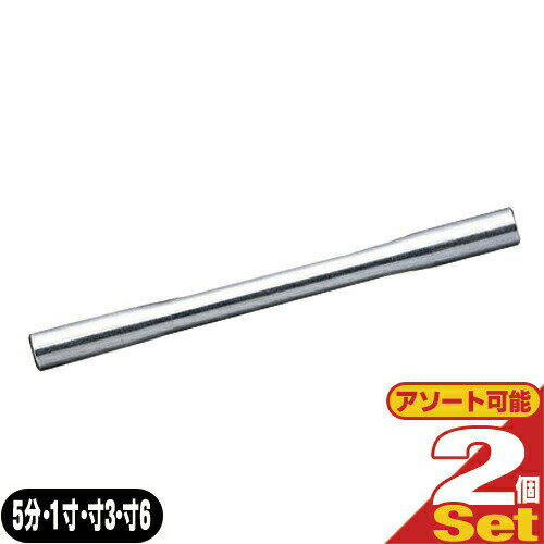 【メール便(日本郵便) ポスト投函 送料無料】【鍼管/針管(しんかん)】前田豊吉商店 無痛鍼管(むつうしんかん) クローム製 x2個セット (5分・1寸・寸3・寸6から選択)(SJ-508A)【smtb-s】